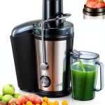Juicer Machines Vegetable and Fruit, 800W Powerful Juilist Centrifugal Juicer Machines Easy to Clean with Brush, Dual Speeds Juice Extractor Machine with Large 3'' Feed Chute & Anti-Drip-0